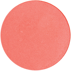 Blush - dusk rose - Swatch